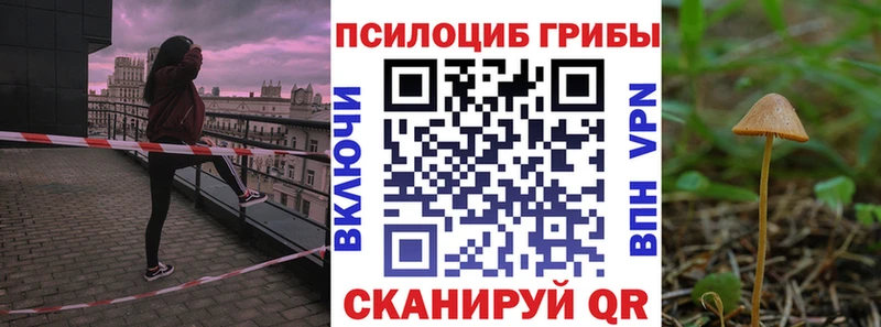 Купить закладки  Анадырь  Псилоцибиновые грибы Psilocybine cubensis 