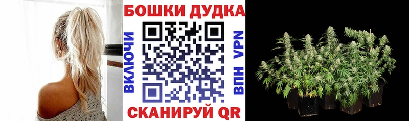Марихуана план  Купить  Анадырь 